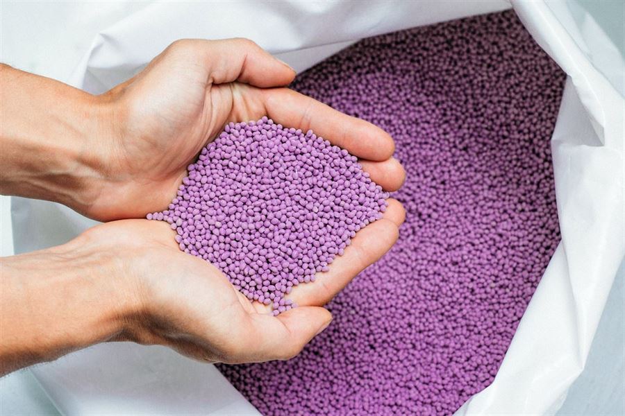 hands-hold-or-touching-biodegradable-plastic-pellets-plastic-polymer-dye-granules-color-clear-purple